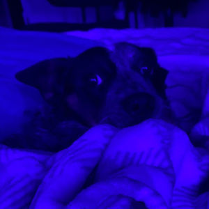 Meet your Posher, Marc